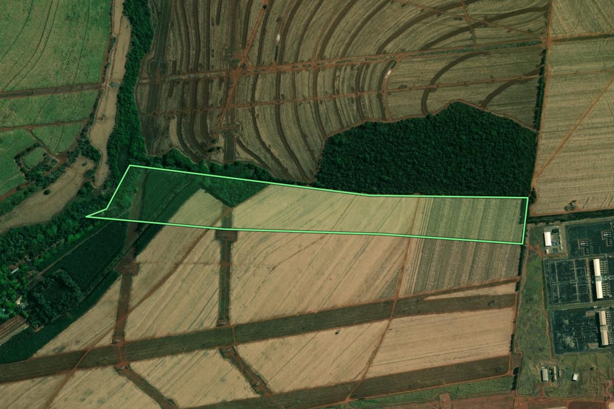Imagem de satélite do imóvel rural em Araraquara (SP), com o contorno declarado no CAR desenhado por cima.