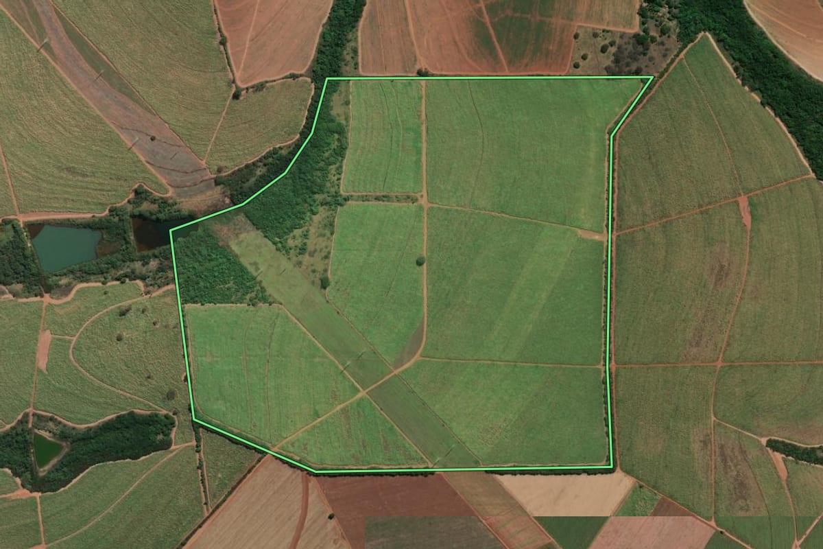 Imagem de satélite do imóvel rural em Araraquara (SP), com o contorno declarado no CAR desenhado por cima.
