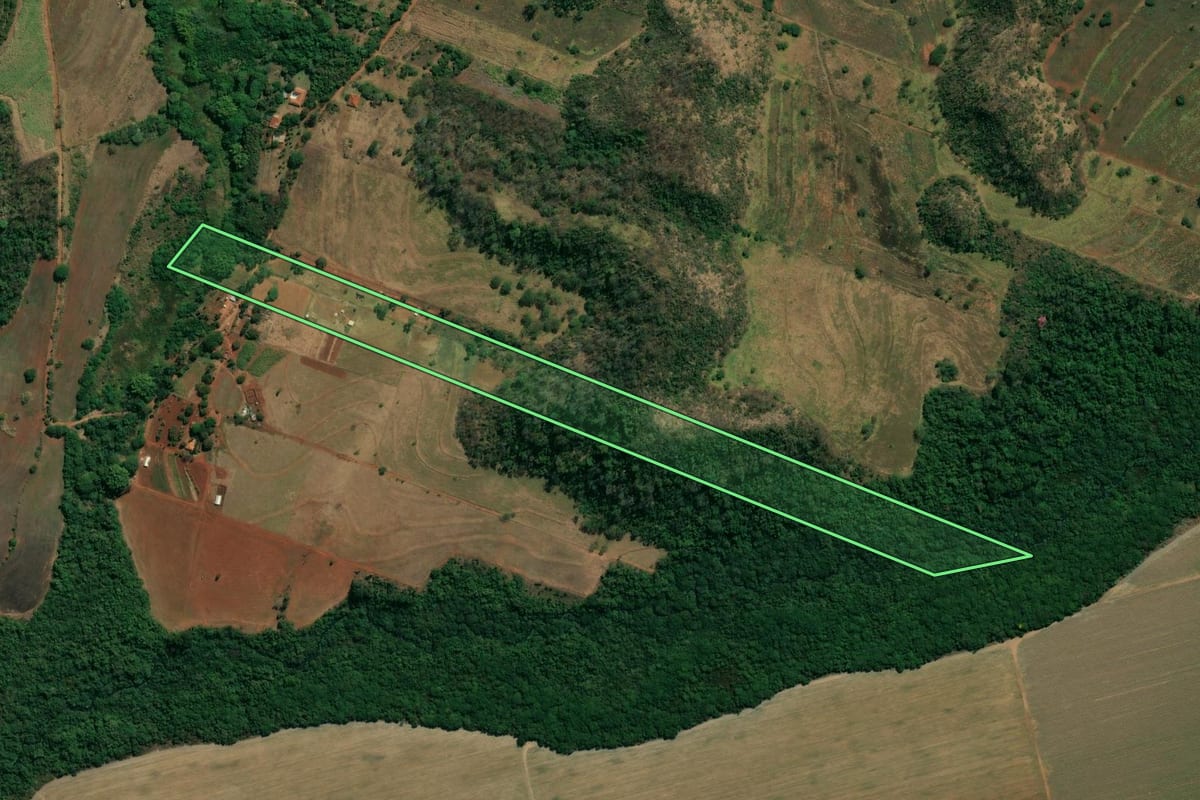 Imagem de satélite do imóvel rural em Araraquara (SP), com o contorno declarado no CAR desenhado por cima.