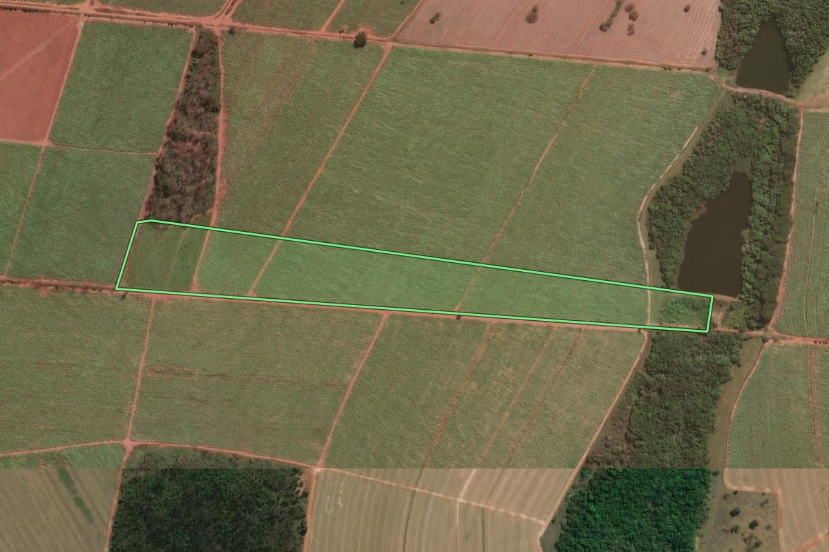 Imagem de satélite do imóvel rural em Araraquara (SP), com o contorno declarado no CAR desenhado por cima.
