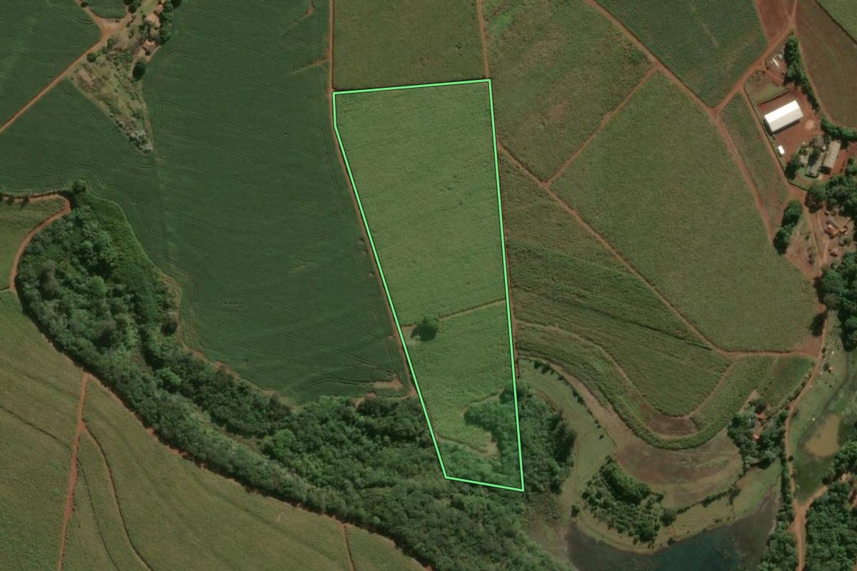 Imagem de satélite do imóvel rural em Araras (SP), com o contorno declarado no CAR desenhado por cima.