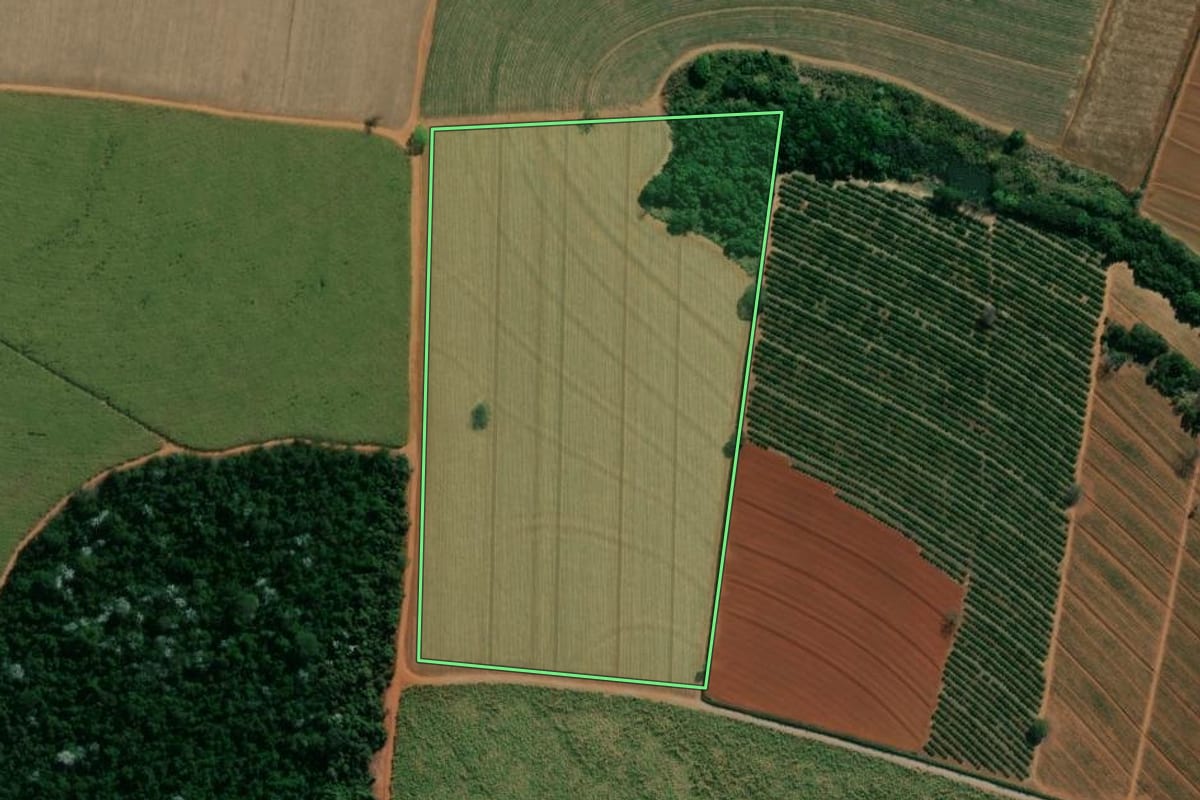 Imagem de satélite do imóvel rural em Araras (SP), com o contorno declarado no CAR desenhado por cima.