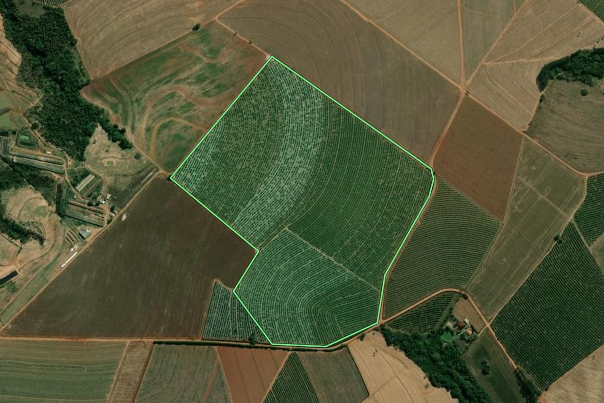 Imagem de satélite do imóvel rural em Araras (SP), com o contorno declarado no CAR desenhado por cima.