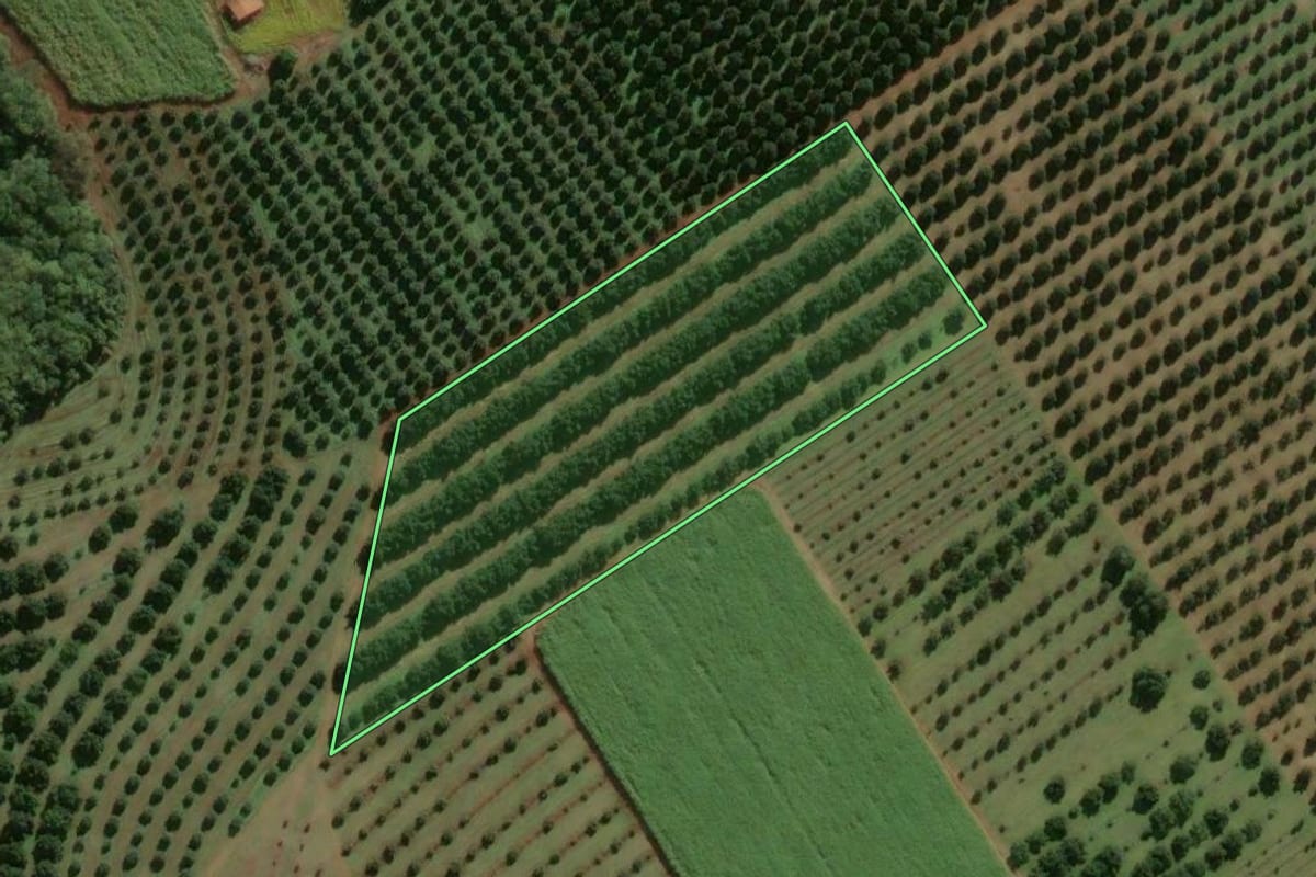 Imagem de satélite do imóvel rural em Araras (SP), com o contorno declarado no CAR desenhado por cima.