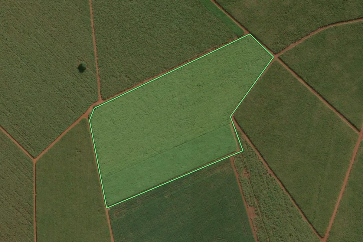 Imagem de satélite do imóvel rural em Araras (SP), com o contorno declarado no CAR desenhado por cima.