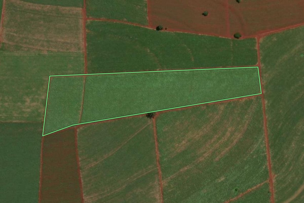 Imagem de satélite do imóvel rural em Araras (SP), com o contorno declarado no CAR desenhado por cima.