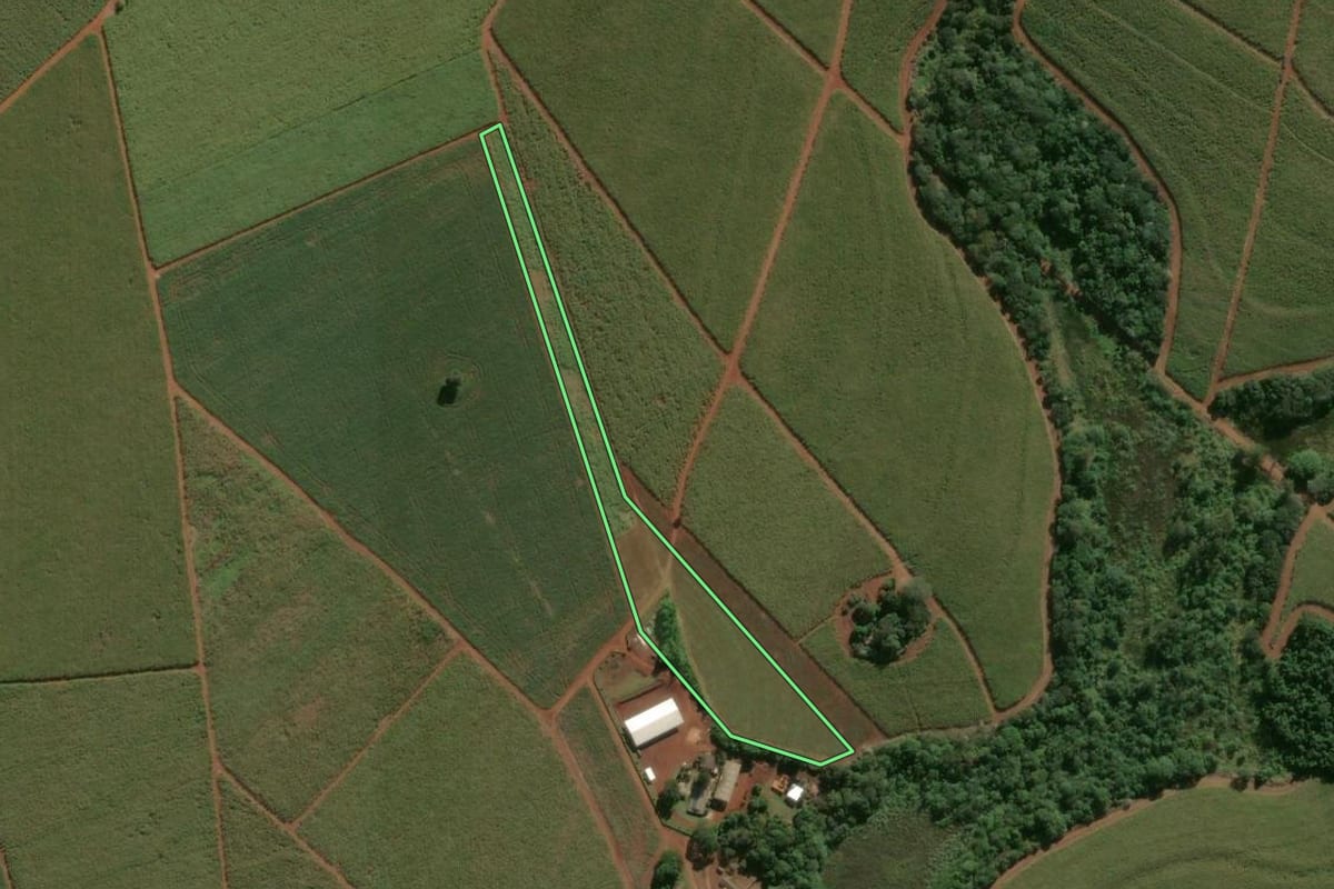 Imagem de satélite do imóvel rural em Araras (SP), com o contorno declarado no CAR desenhado por cima.