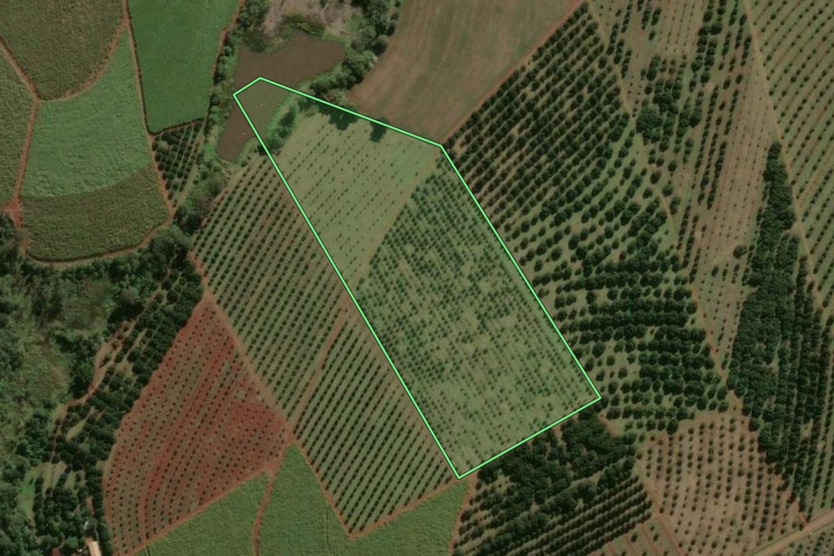 Imagem de satélite do imóvel rural em Araras (SP), com o contorno declarado no CAR desenhado por cima.