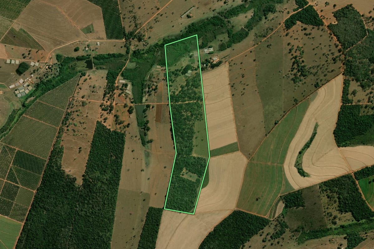 Imagem de satélite do imóvel rural em Arealva (SP), com o contorno declarado no CAR desenhado por cima.