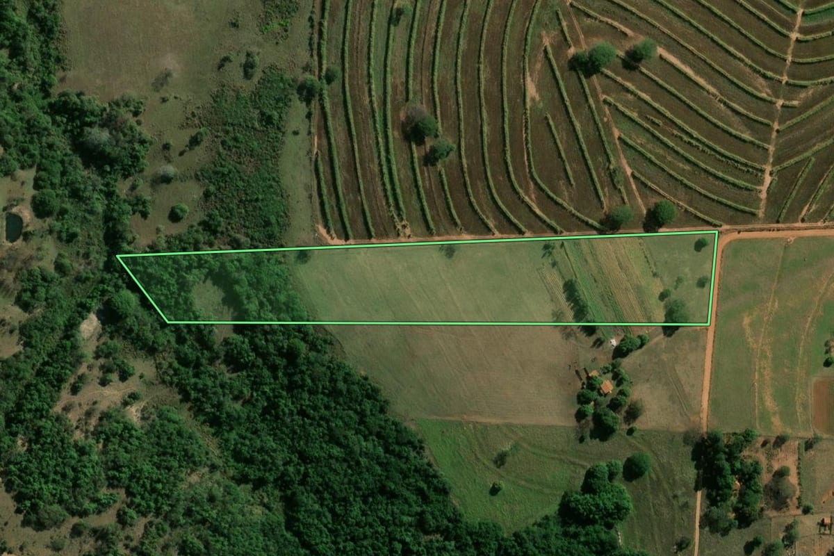 Imagem de satélite do imóvel rural em Arealva (SP), com o contorno declarado no CAR desenhado por cima.