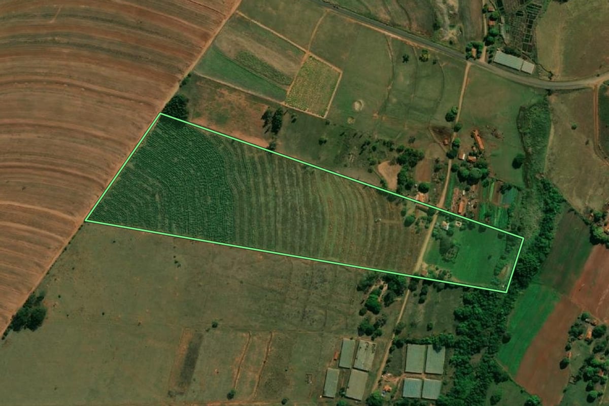 Imagem de satélite do imóvel rural em Arealva (SP), com o contorno declarado no CAR desenhado por cima.