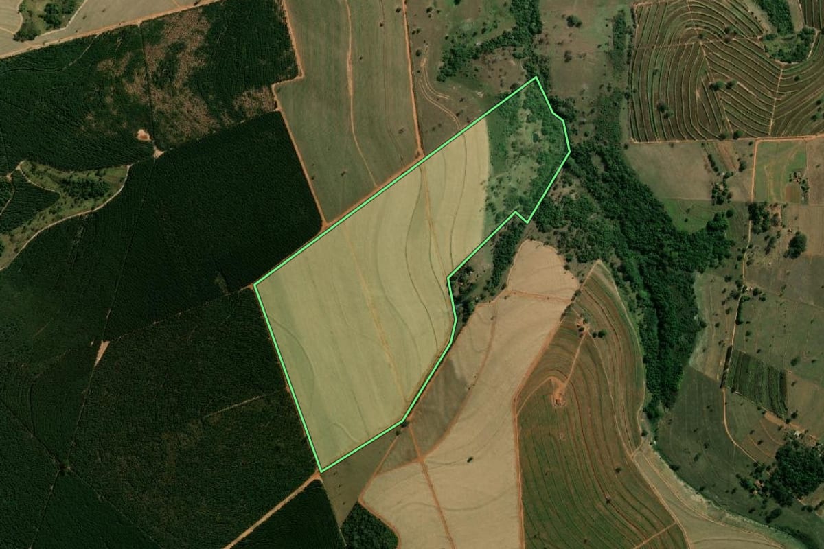 Imagem de satélite do imóvel rural em Arealva (SP), com o contorno declarado no CAR desenhado por cima.
