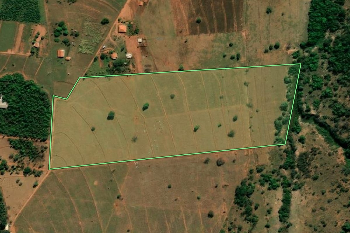 Imagem de satélite do imóvel rural em Arealva (SP), com o contorno declarado no CAR desenhado por cima.
