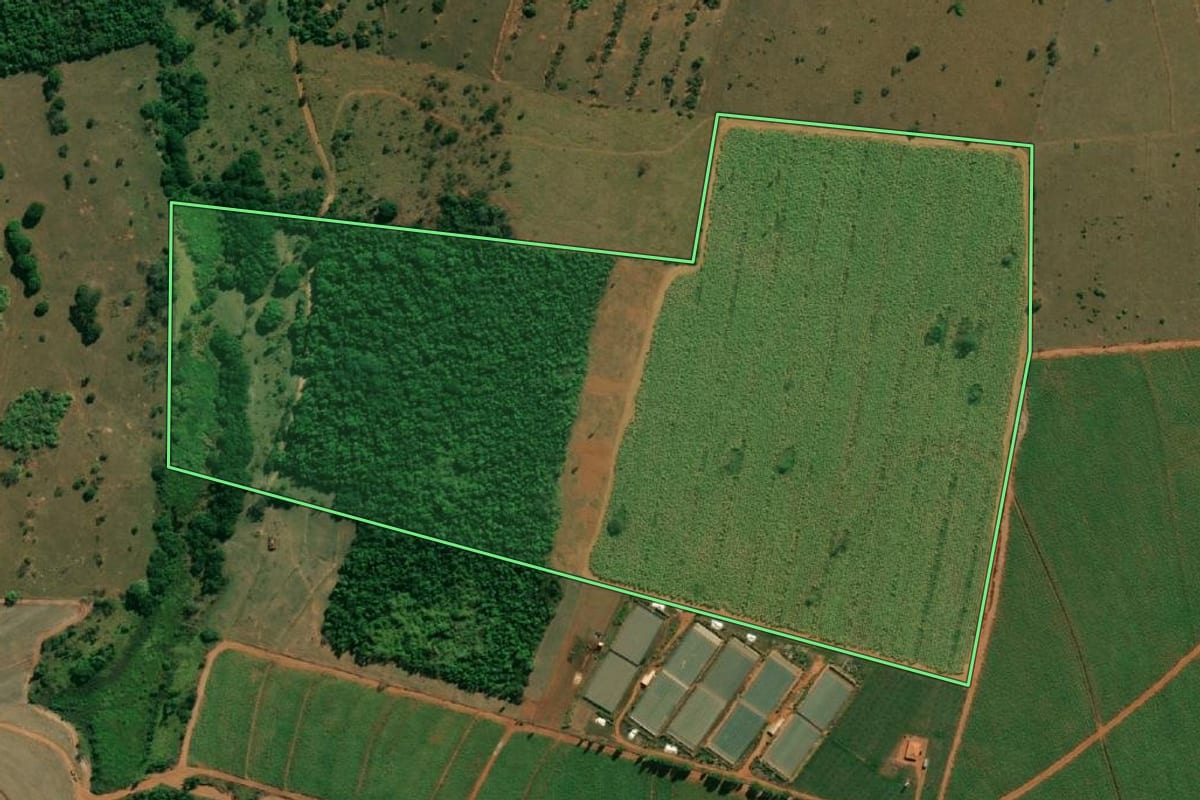 Imagem de satélite do imóvel rural em Arealva (SP), com o contorno declarado no CAR desenhado por cima.