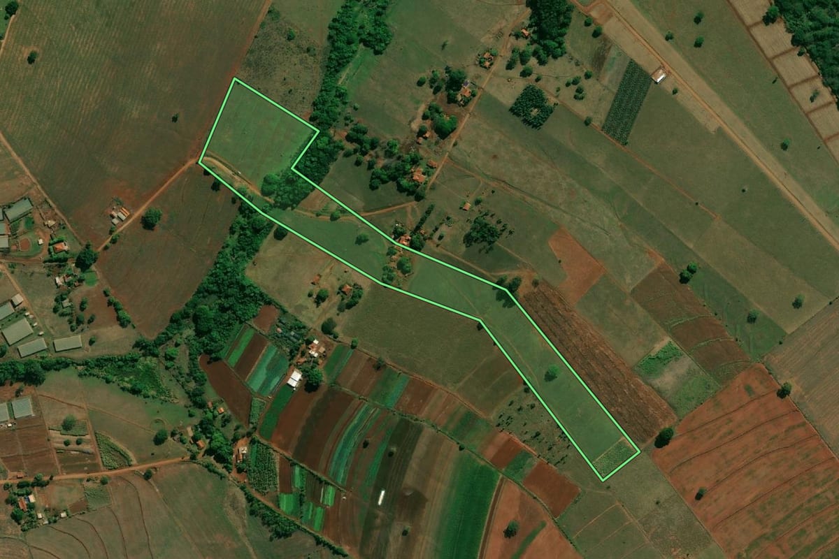 Imagem de satélite do imóvel rural em Arealva (SP), com o contorno declarado no CAR desenhado por cima.