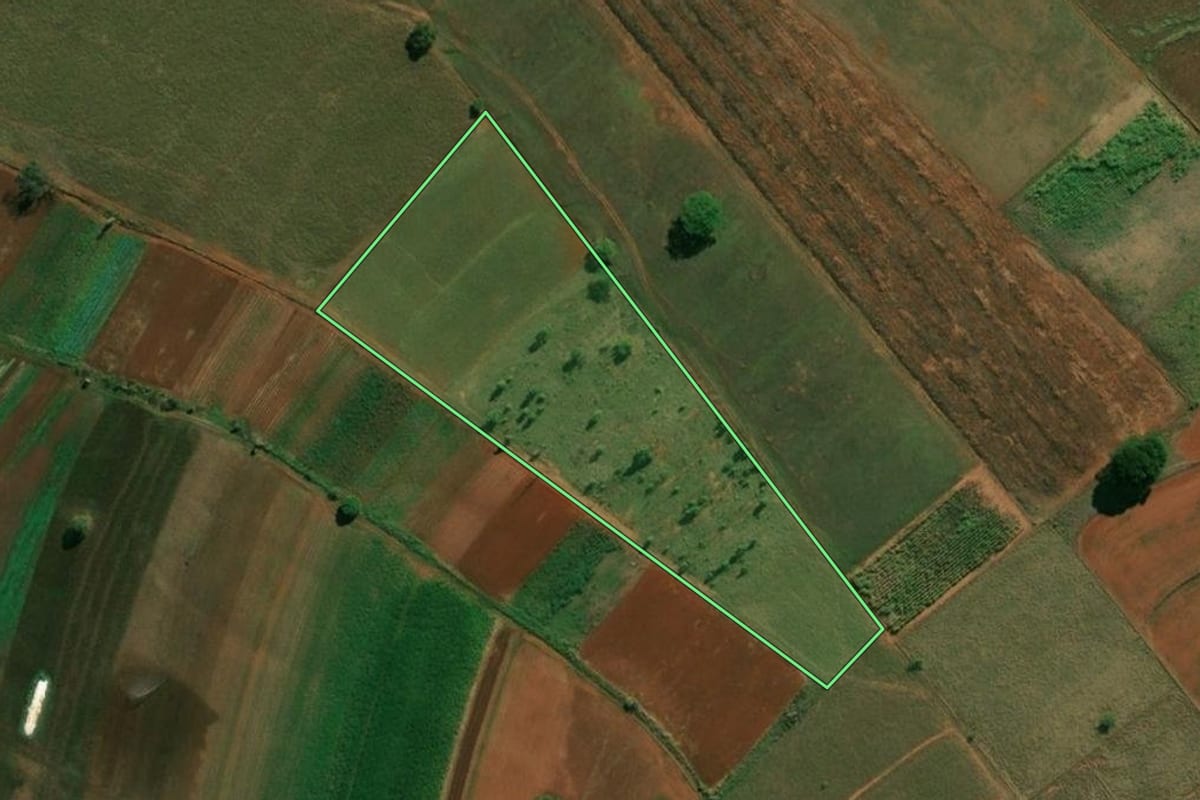 Imagem de satélite do imóvel rural em Arealva (SP), com o contorno declarado no CAR desenhado por cima.