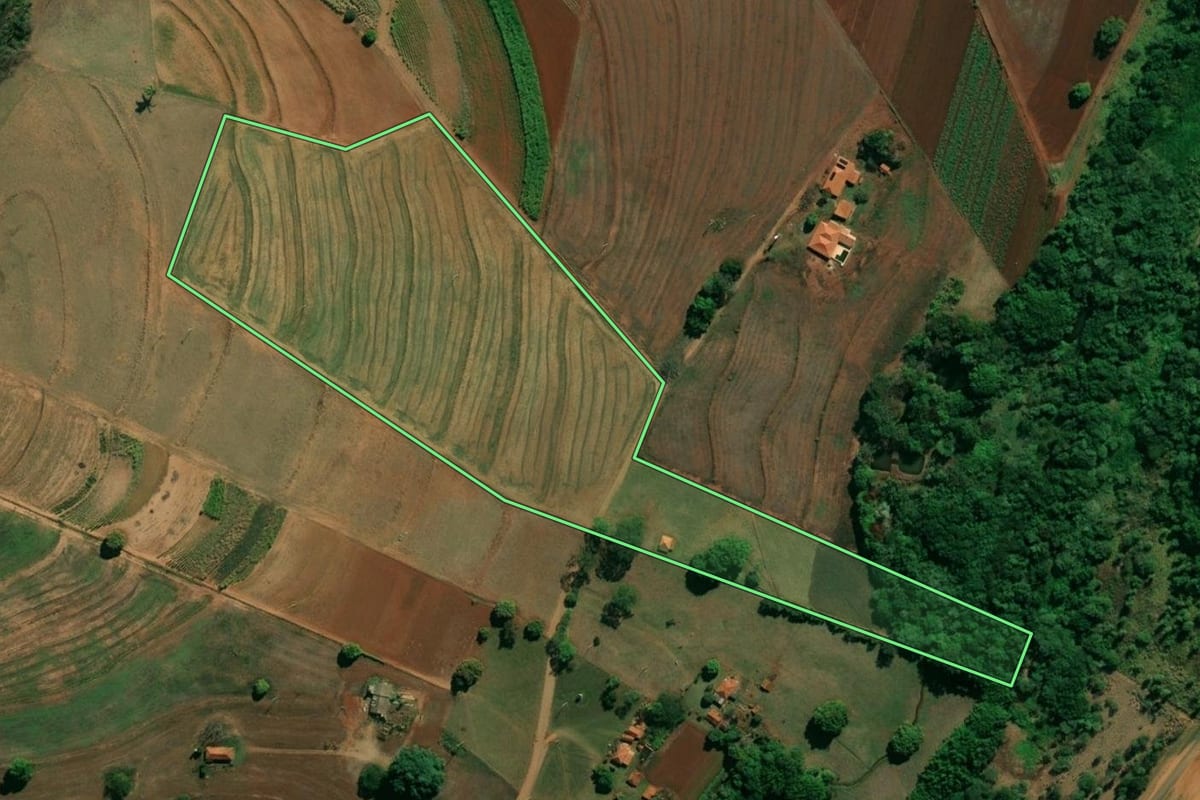 Imagem de satélite do imóvel rural em Arealva (SP), com o contorno declarado no CAR desenhado por cima.