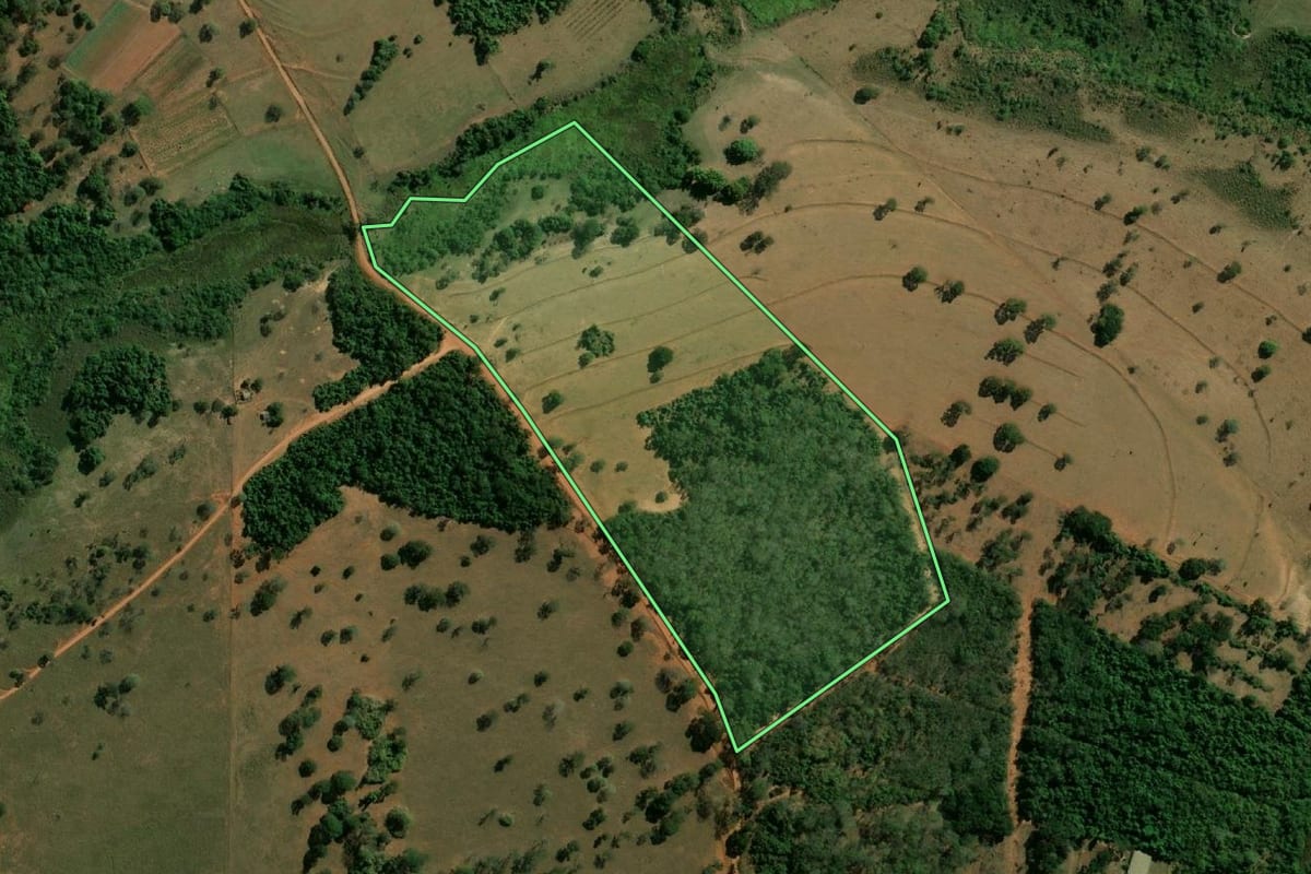 Imagem de satélite do imóvel rural em Arealva (SP), com o contorno declarado no CAR desenhado por cima.