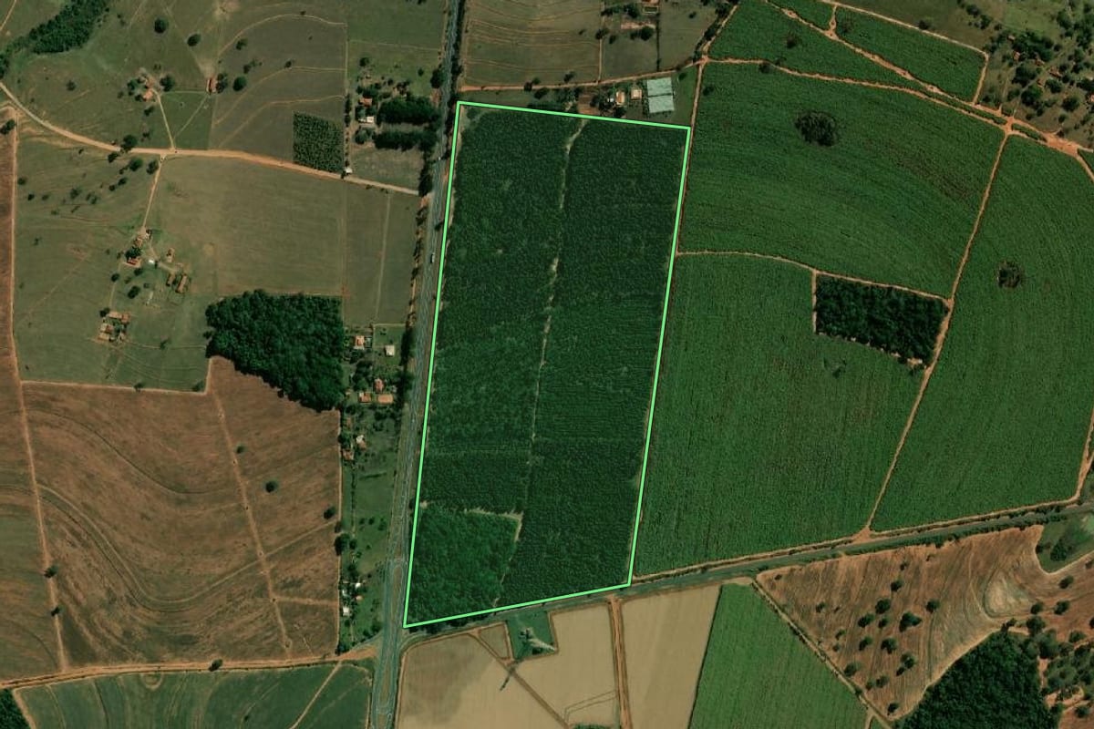 Imagem de satélite do imóvel rural em Arealva (SP), com o contorno declarado no CAR desenhado por cima.