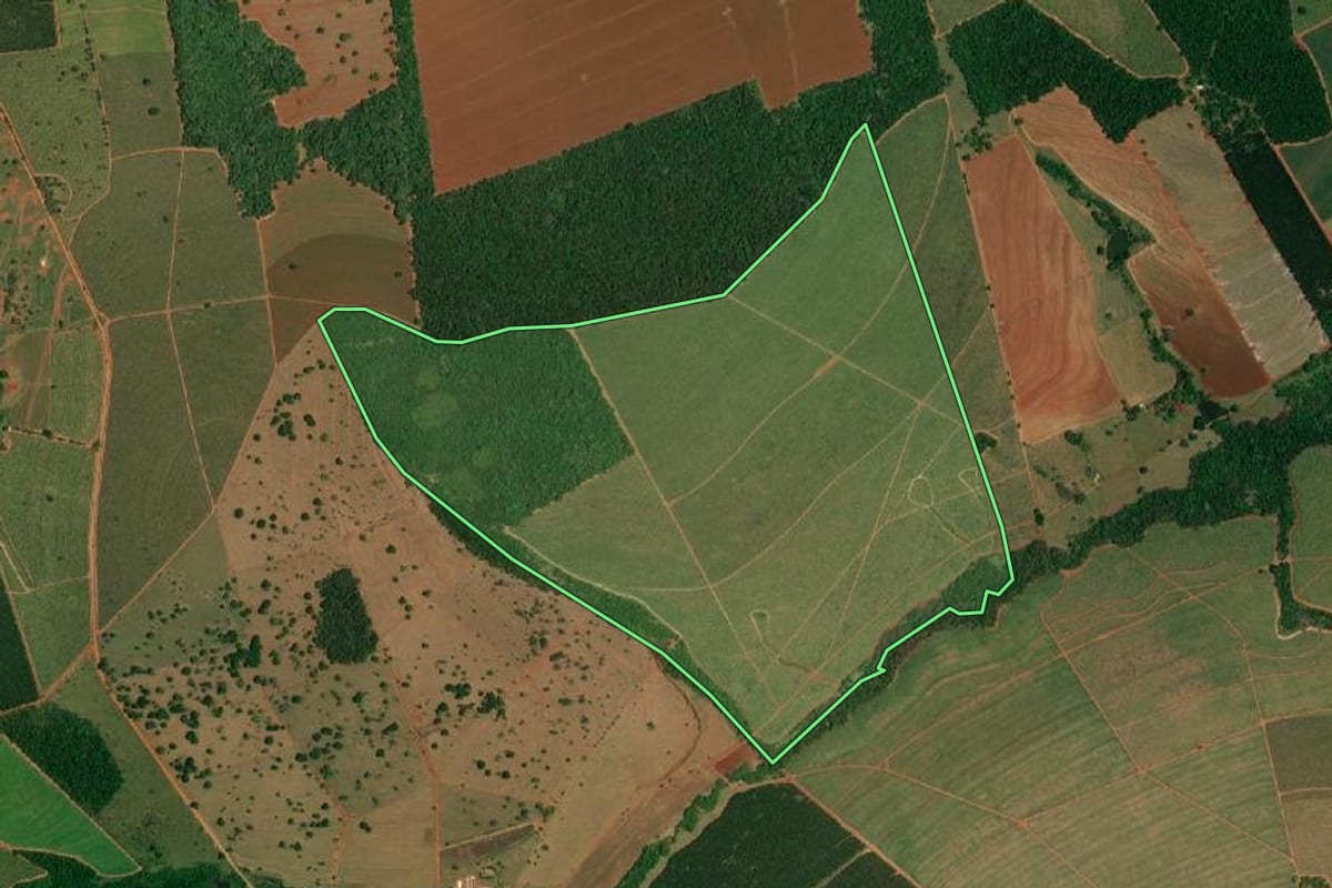Imagem de satélite do imóvel rural em Arealva (SP), com o contorno declarado no CAR desenhado por cima.