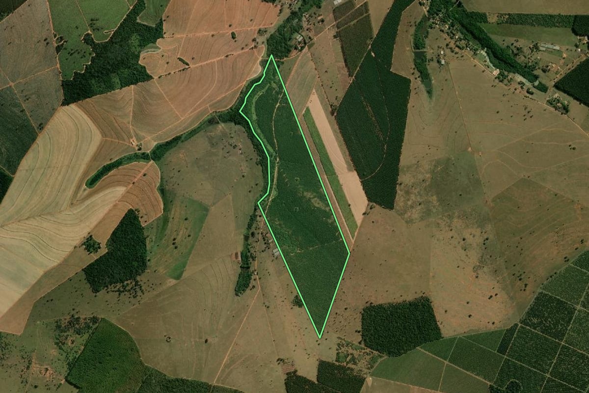 Imagem de satélite do imóvel rural em Arealva (SP), com o contorno declarado no CAR desenhado por cima.