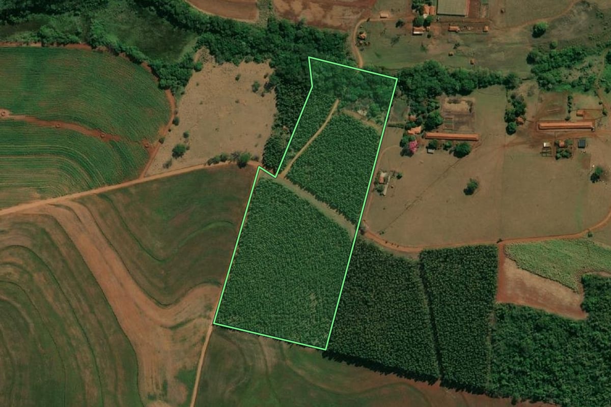 Imagem de satélite do imóvel rural em Arealva (SP), com o contorno declarado no CAR desenhado por cima.