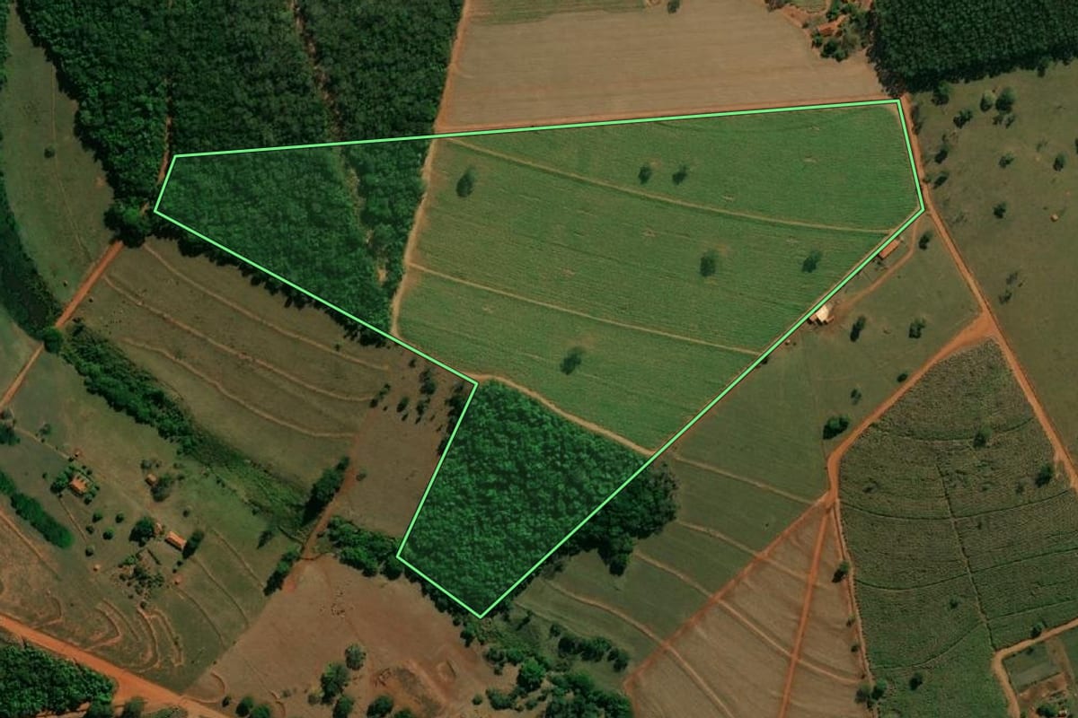 Imagem de satélite do imóvel rural em Arealva (SP), com o contorno declarado no CAR desenhado por cima.