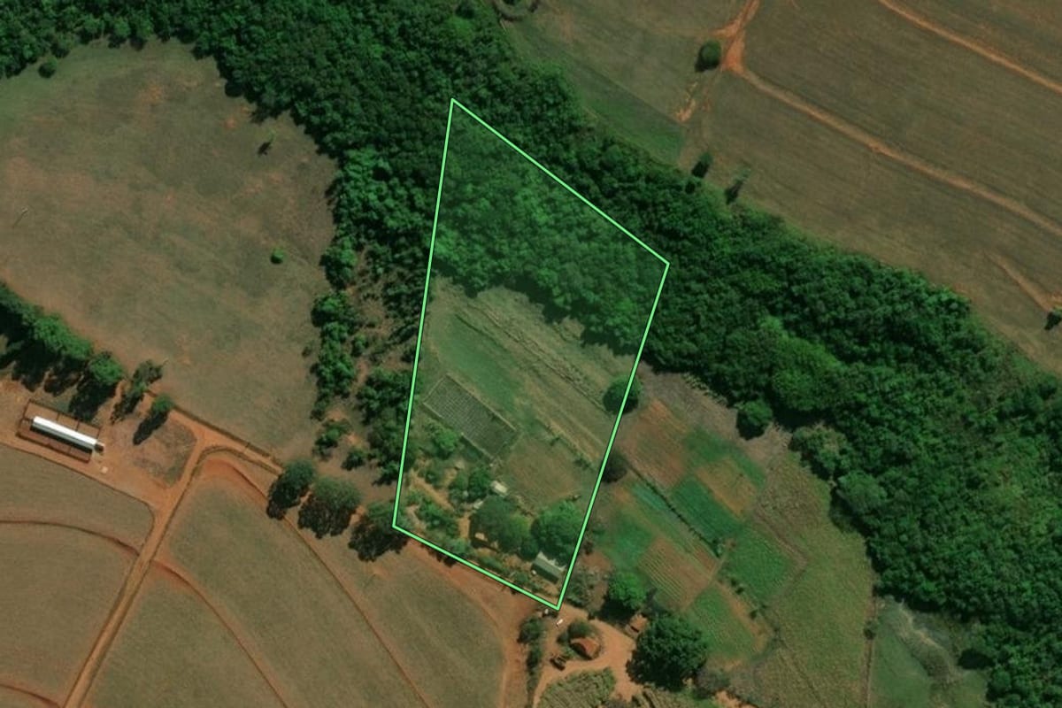 Imagem de satélite do imóvel rural em Arealva (SP), com o contorno declarado no CAR desenhado por cima.