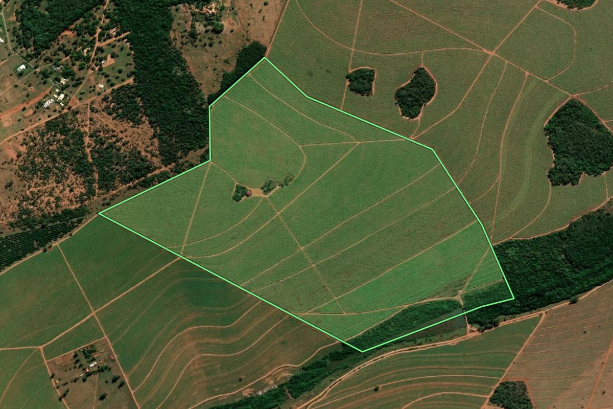 Imagem de satélite do imóvel rural em Arealva (SP), com o contorno declarado no CAR desenhado por cima.