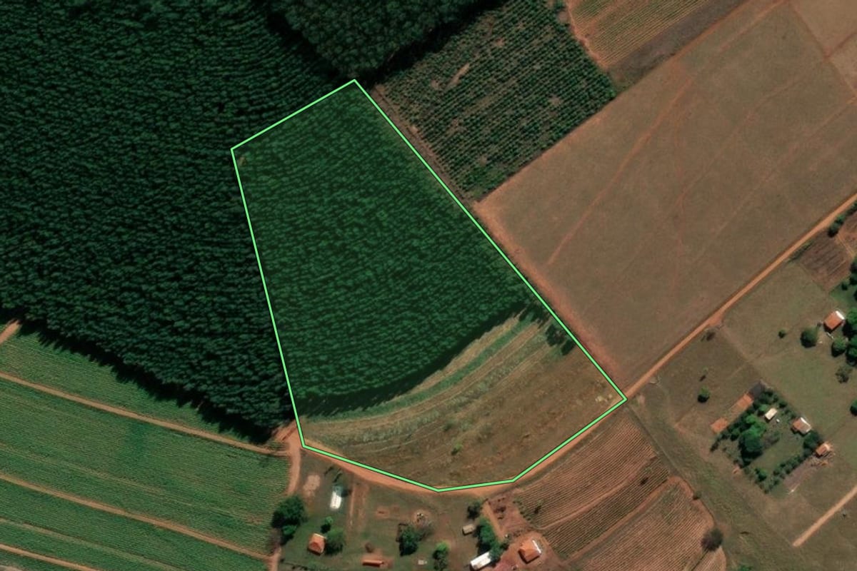 Imagem de satélite do imóvel rural em Arealva (SP), com o contorno declarado no CAR desenhado por cima.