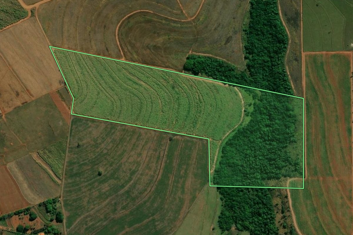 Imagem de satélite do imóvel rural em Arealva (SP), com o contorno declarado no CAR desenhado por cima.