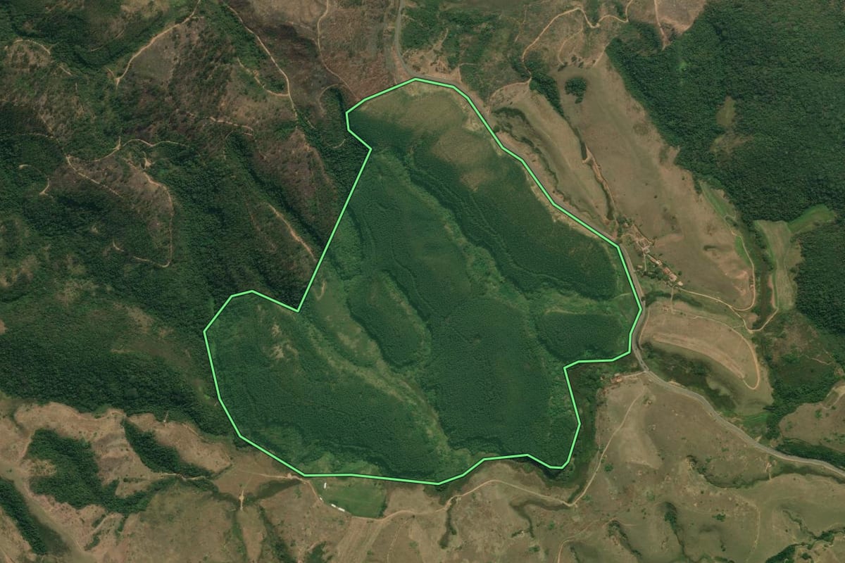 Imagem de satélite do imóvel rural em Areias (SP), com o contorno declarado no CAR desenhado por cima.