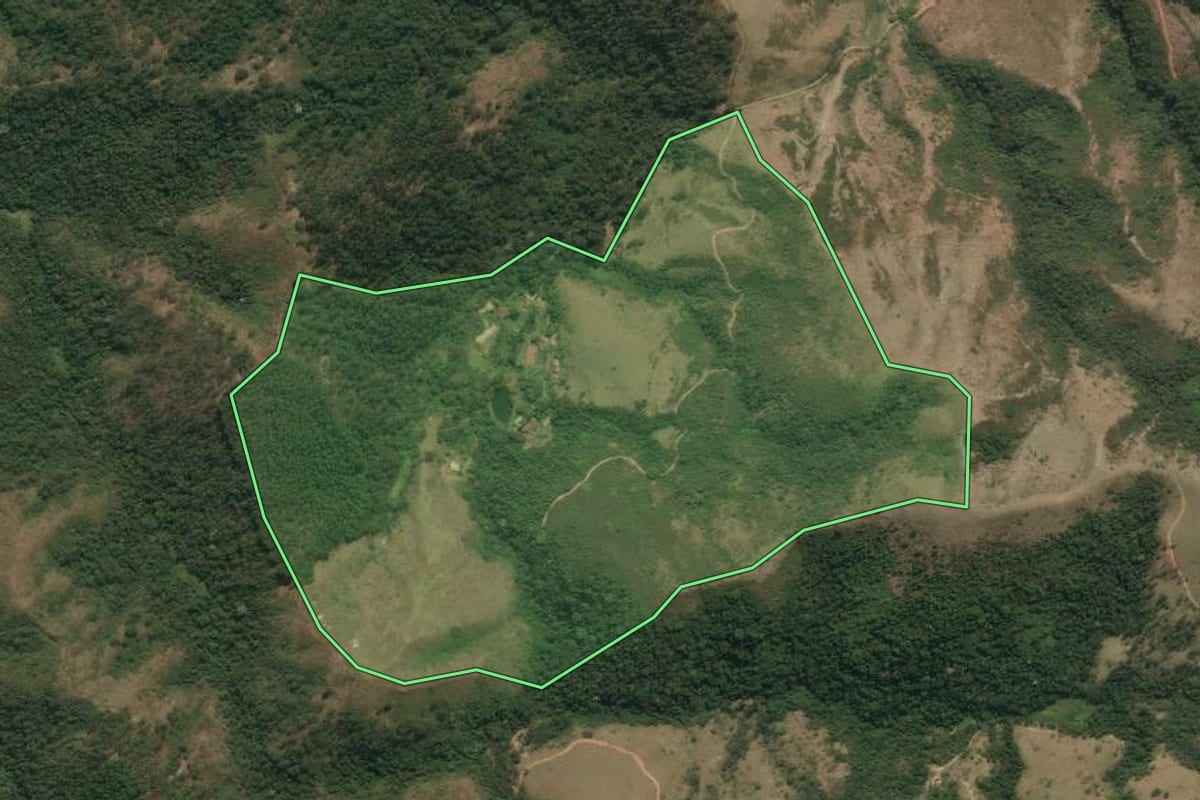Imagem de satélite do imóvel rural em Areias (SP), com o contorno declarado no CAR desenhado por cima.