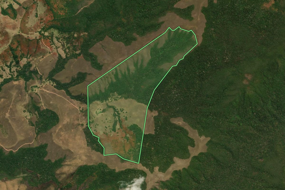 Imagem de satélite do imóvel rural em Areias (SP), com o contorno declarado no CAR desenhado por cima.