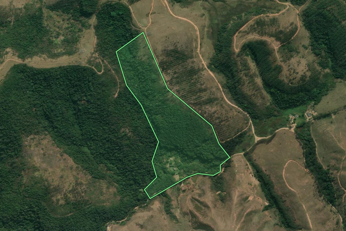 Imagem de satélite do imóvel rural em Areias (SP), com o contorno declarado no CAR desenhado por cima.