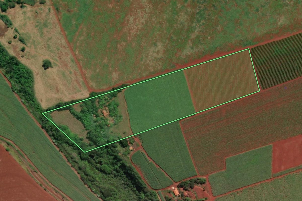 Imagem de satélite do imóvel rural em Areiópolis (SP), com o contorno declarado no CAR desenhado por cima.
