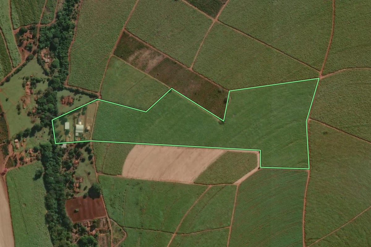 Imagem de satélite do imóvel rural em Areiópolis (SP), com o contorno declarado no CAR desenhado por cima.