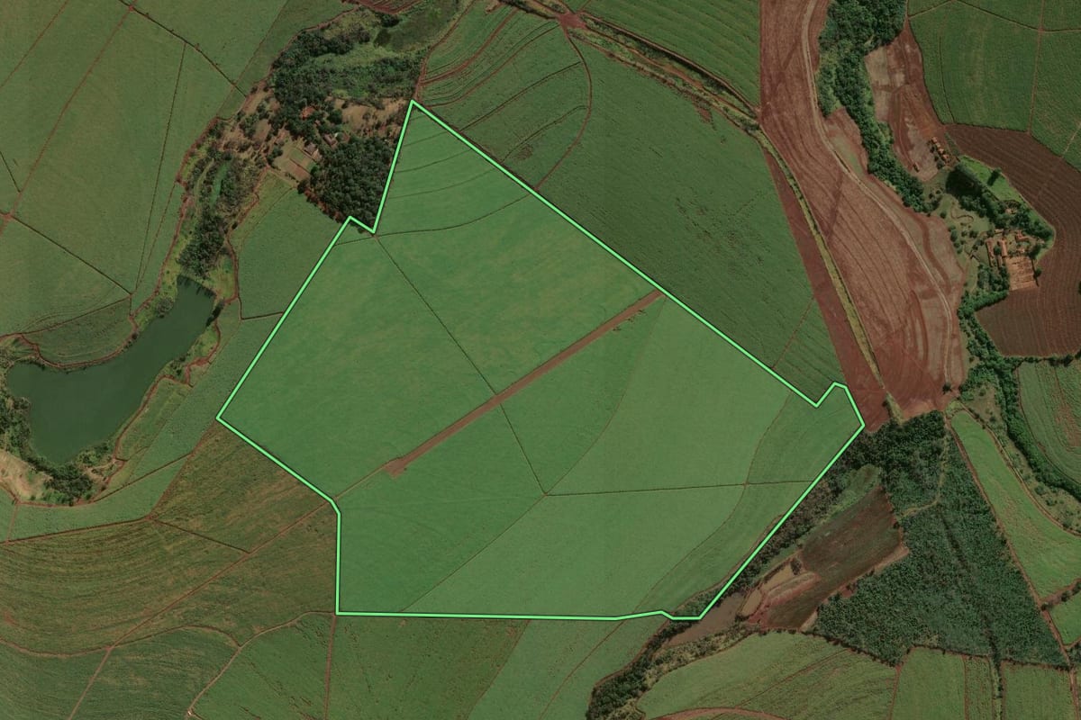 Imagem de satélite do imóvel rural em Areiópolis (SP), com o contorno declarado no CAR desenhado por cima.