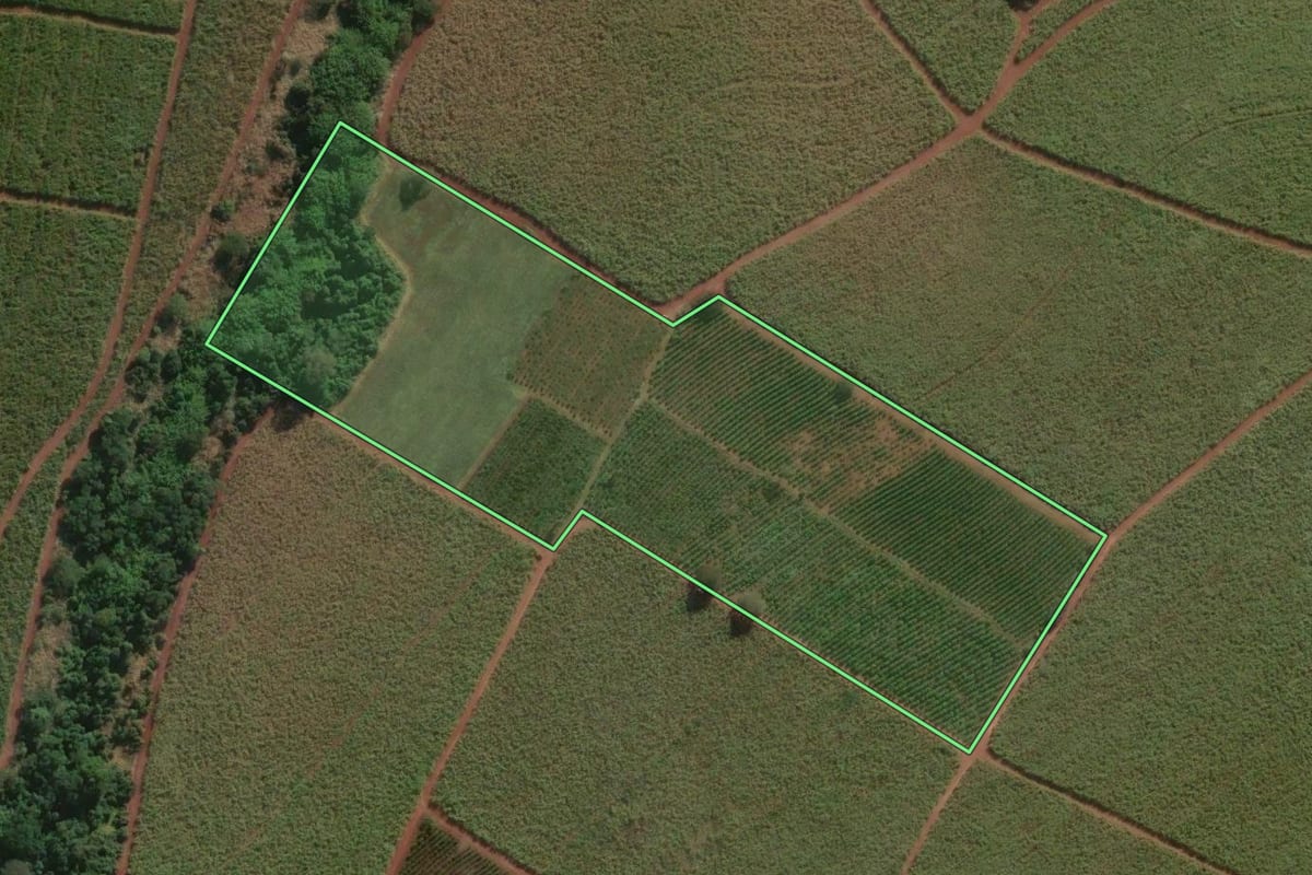 Imagem de satélite do imóvel rural em Areiópolis (SP), com o contorno declarado no CAR desenhado por cima.