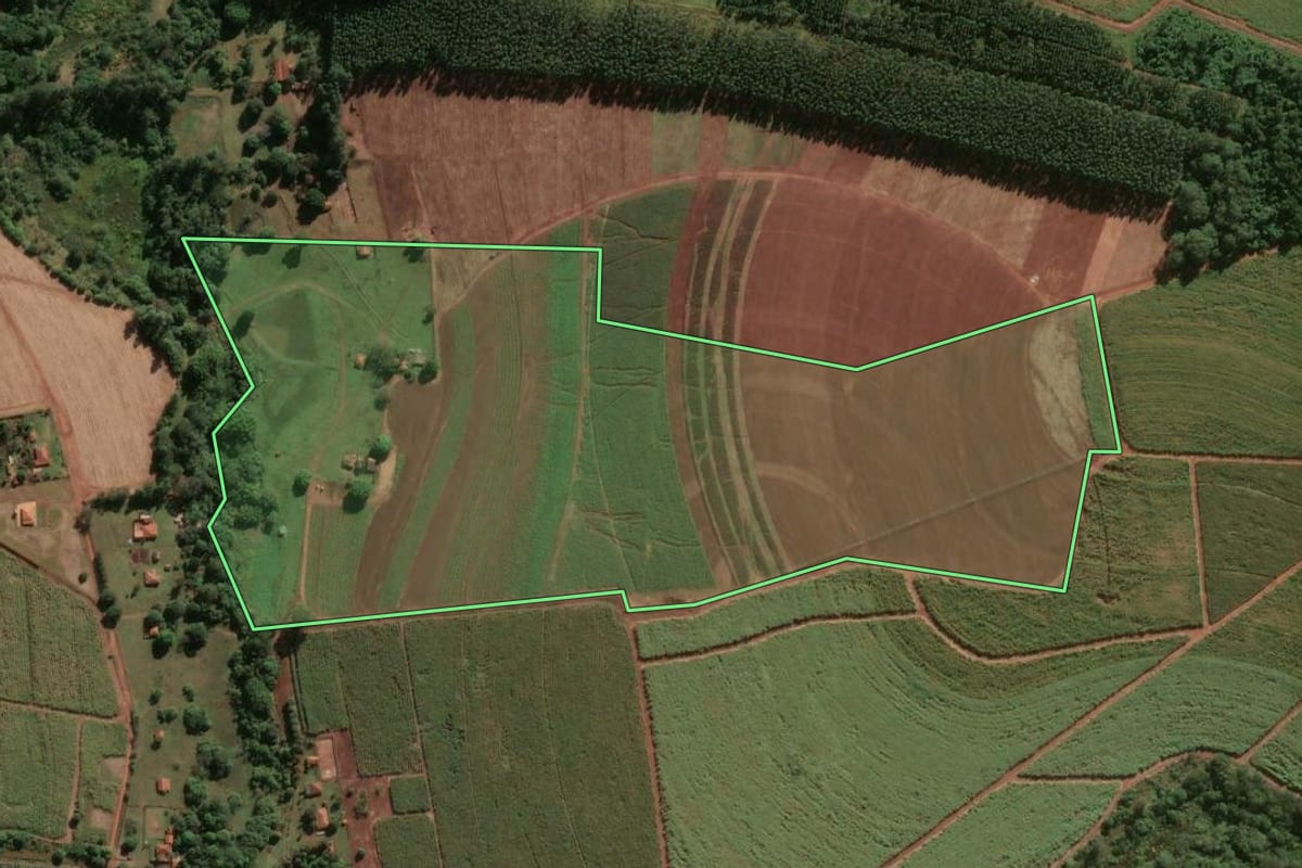 Imagem de satélite do imóvel rural em Areiópolis (SP), com o contorno declarado no CAR desenhado por cima.