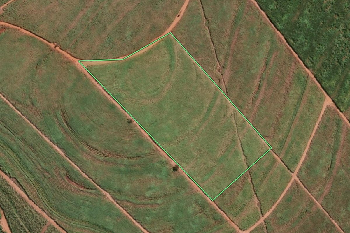 Imagem de satélite do imóvel rural em Ariranha (SP), com o contorno declarado no CAR desenhado por cima.