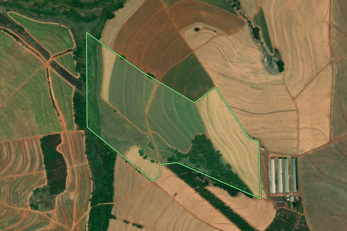 Imagem de satélite do imóvel rural em Ariranha (SP), com o contorno declarado no CAR desenhado por cima.