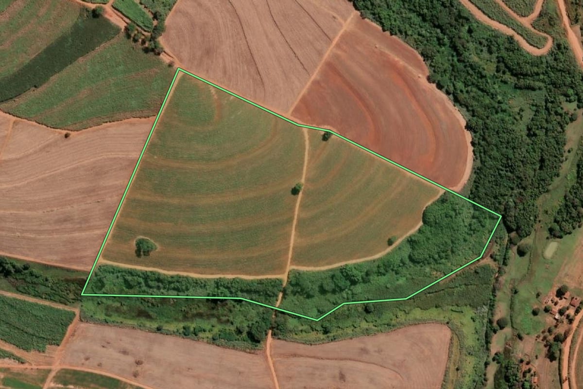 Imagem de satélite do imóvel rural em Ariranha (SP), com o contorno declarado no CAR desenhado por cima.