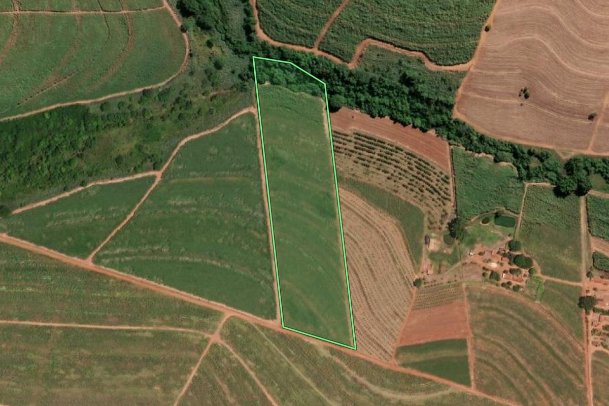 Imagem de satélite do imóvel rural em Ariranha (SP), com o contorno declarado no CAR desenhado por cima.