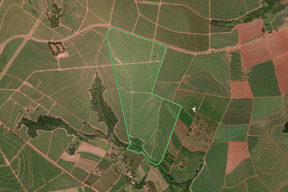 Imagem de satélite do imóvel rural em Ariranha (SP), com o contorno declarado no CAR desenhado por cima.