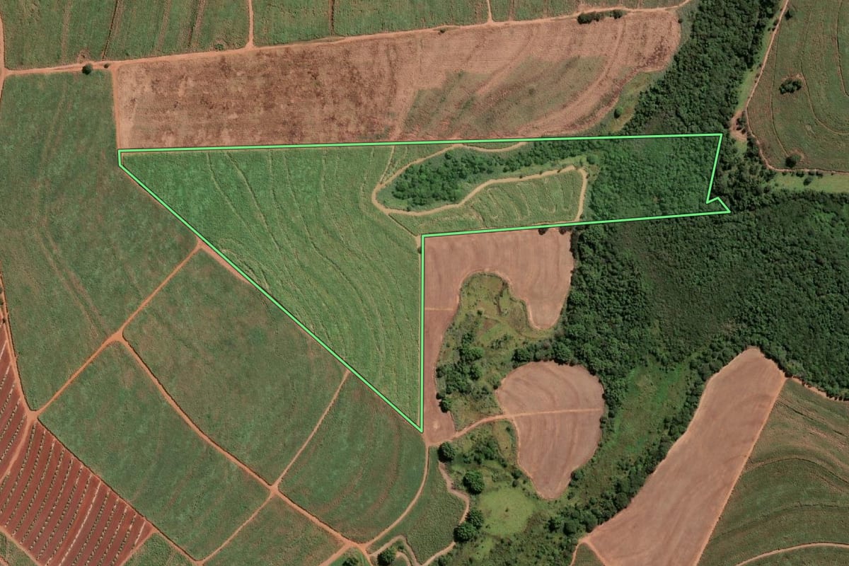 Imagem de satélite do imóvel rural em Ariranha (SP), com o contorno declarado no CAR desenhado por cima.