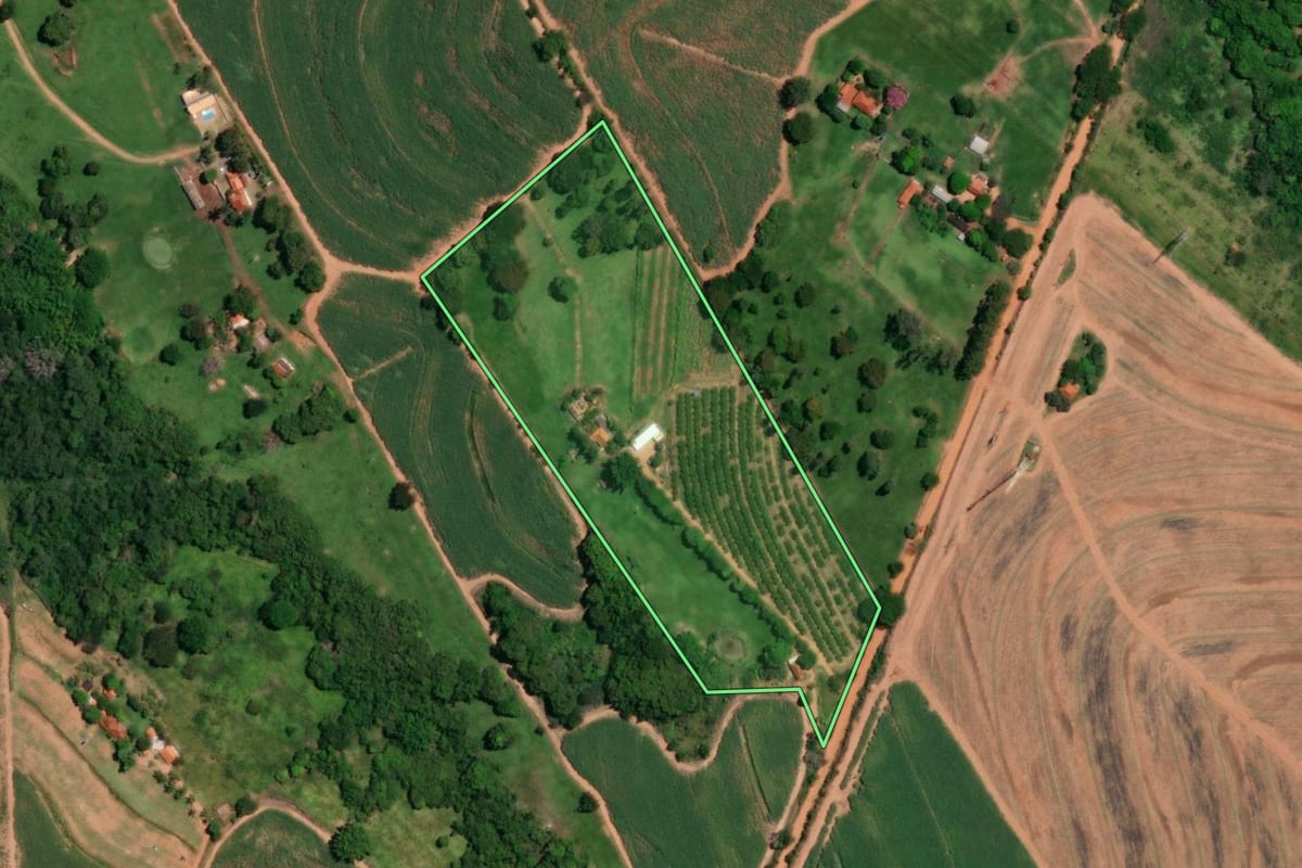Imagem de satélite do imóvel rural em Ariranha (SP), com o contorno declarado no CAR desenhado por cima.