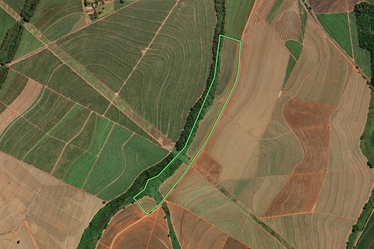 Imagem de satélite do imóvel rural em Ariranha (SP), com o contorno declarado no CAR desenhado por cima.