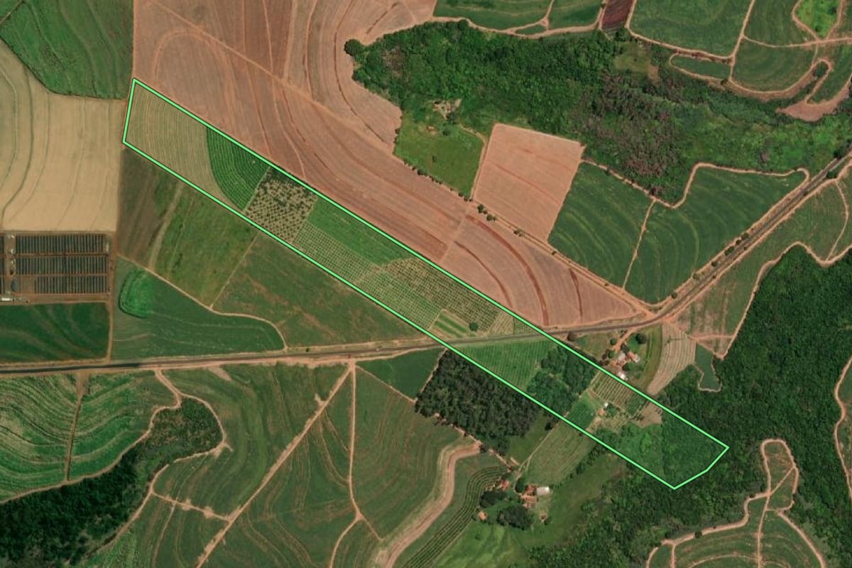 Imagem de satélite do imóvel rural em Ariranha (SP), com o contorno declarado no CAR desenhado por cima.