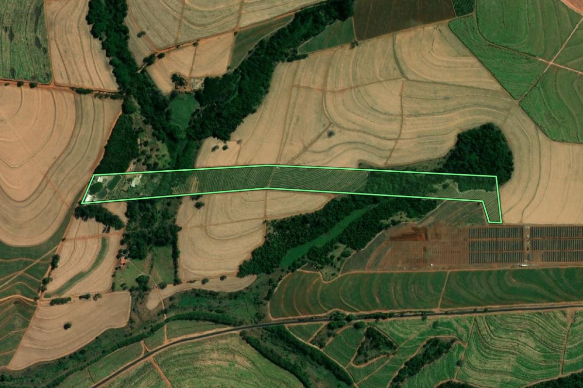 Imagem de satélite do imóvel rural em Ariranha (SP), com o contorno declarado no CAR desenhado por cima.